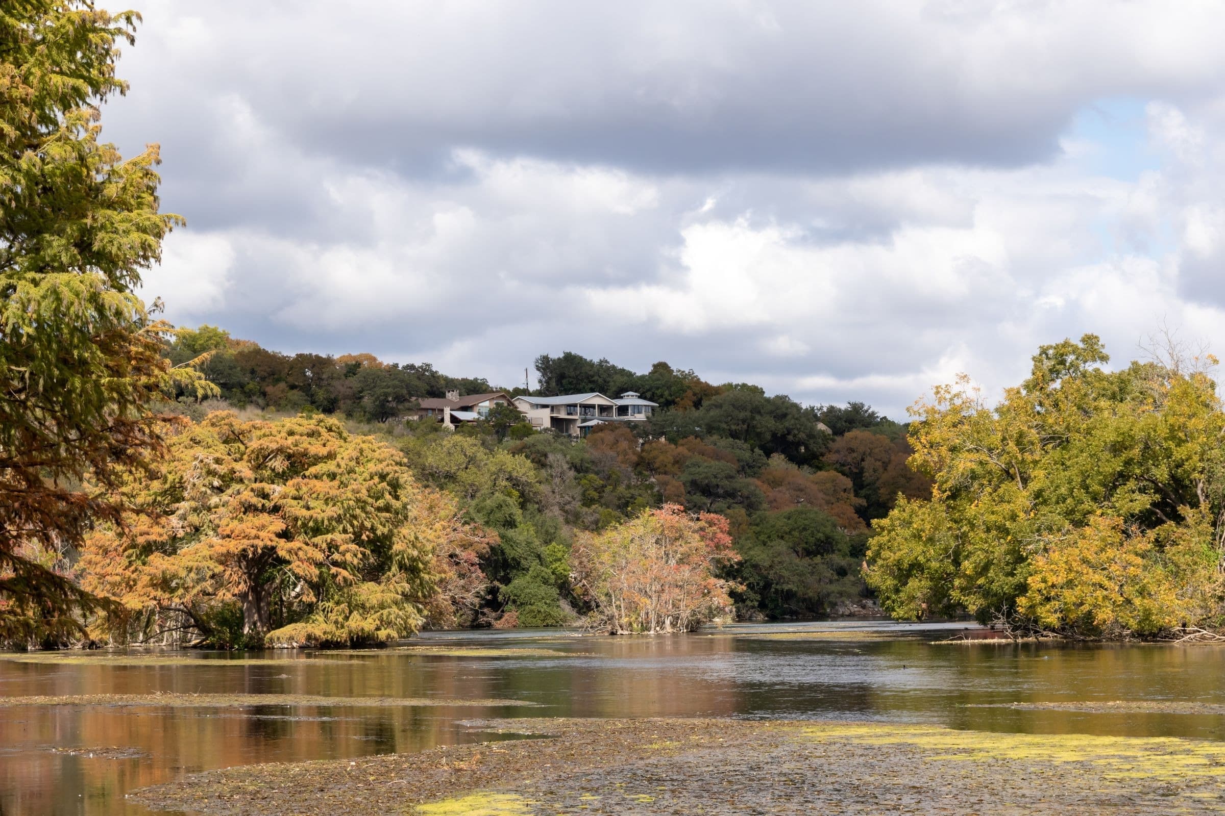 Houses above a tree-lined lake in Texas