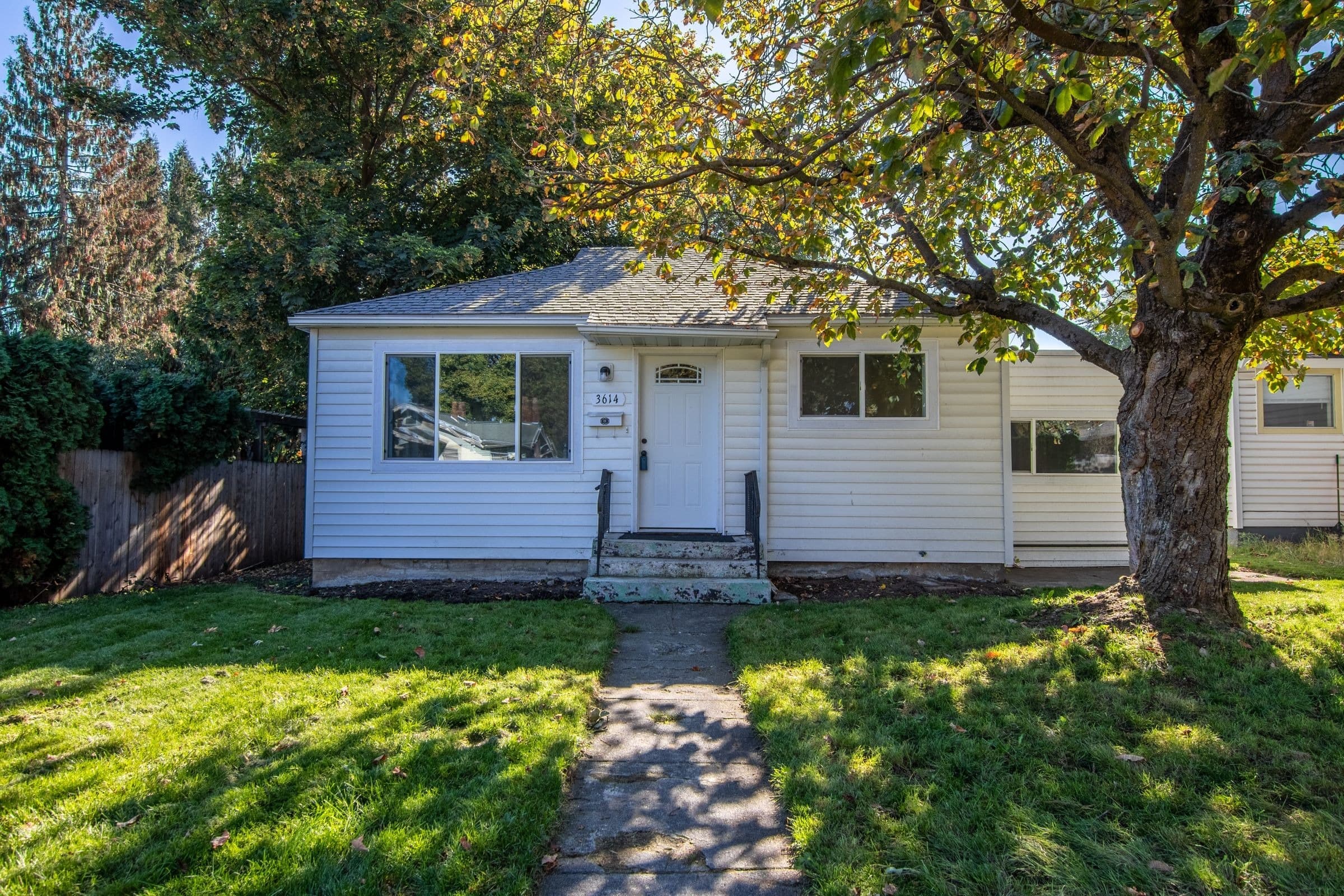 Small house with a front lawn and a big shade tree
